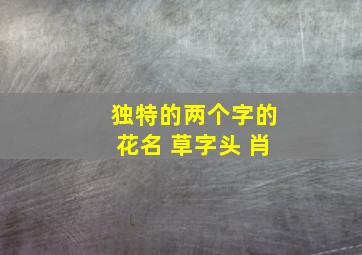 独特的两个字的花名 草字头 肖